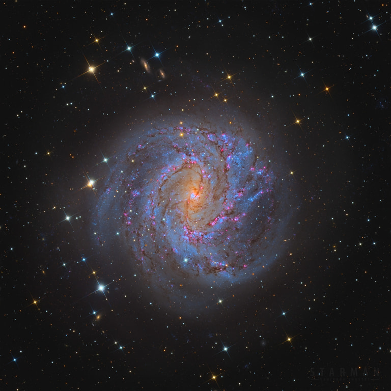 The Southern Pinwheel Galaxy