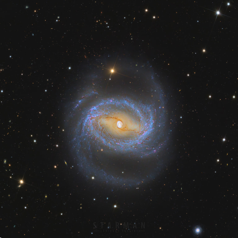 Seyfert Barred Spiral Galaxy