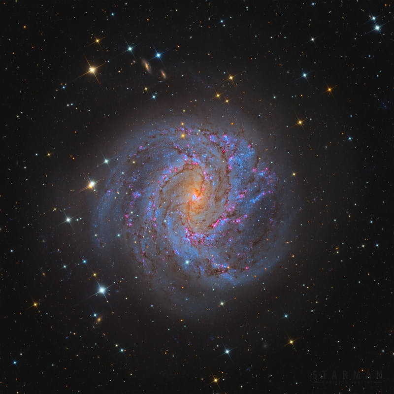 The Southern Pinwheel Galaxy