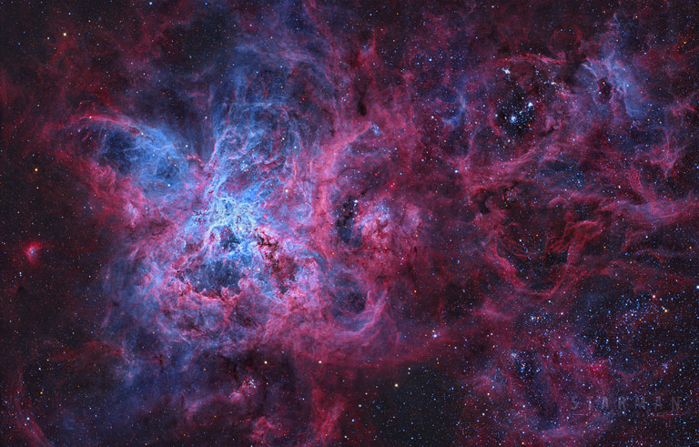 The Tarantula Nebula