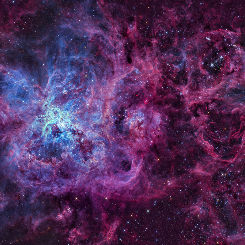 The Tarantula Nebula