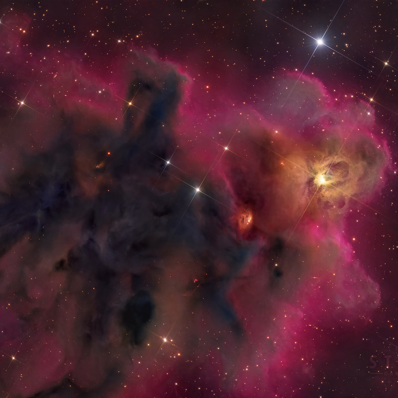 Dark Nebula