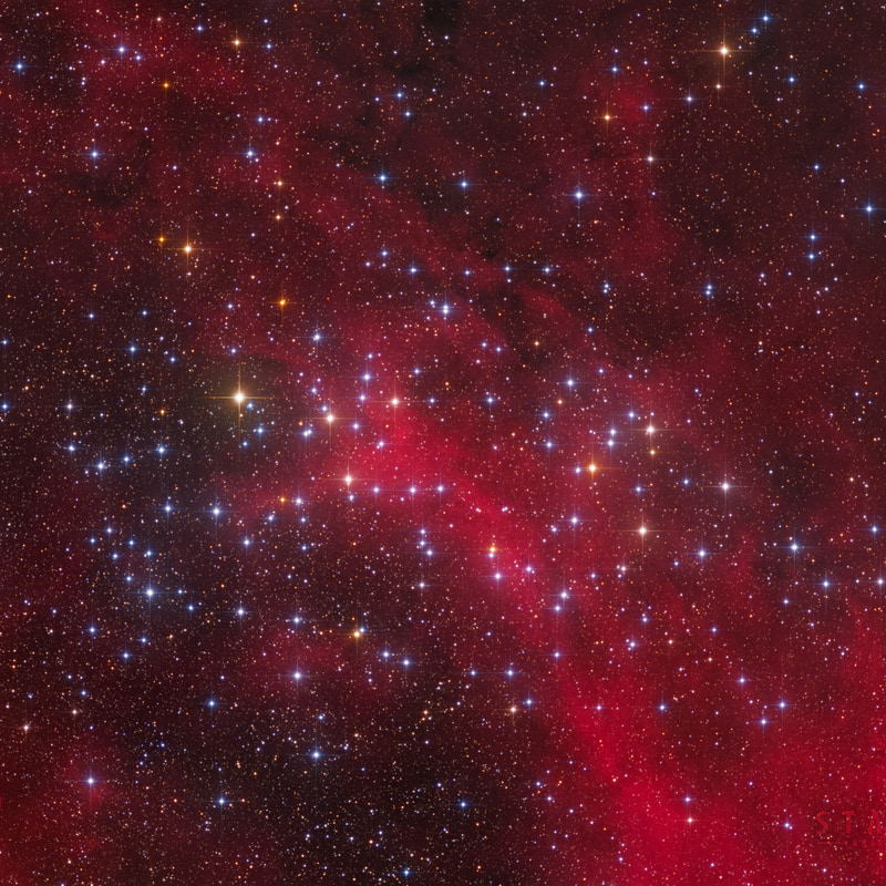 The Wishing Well Cluster