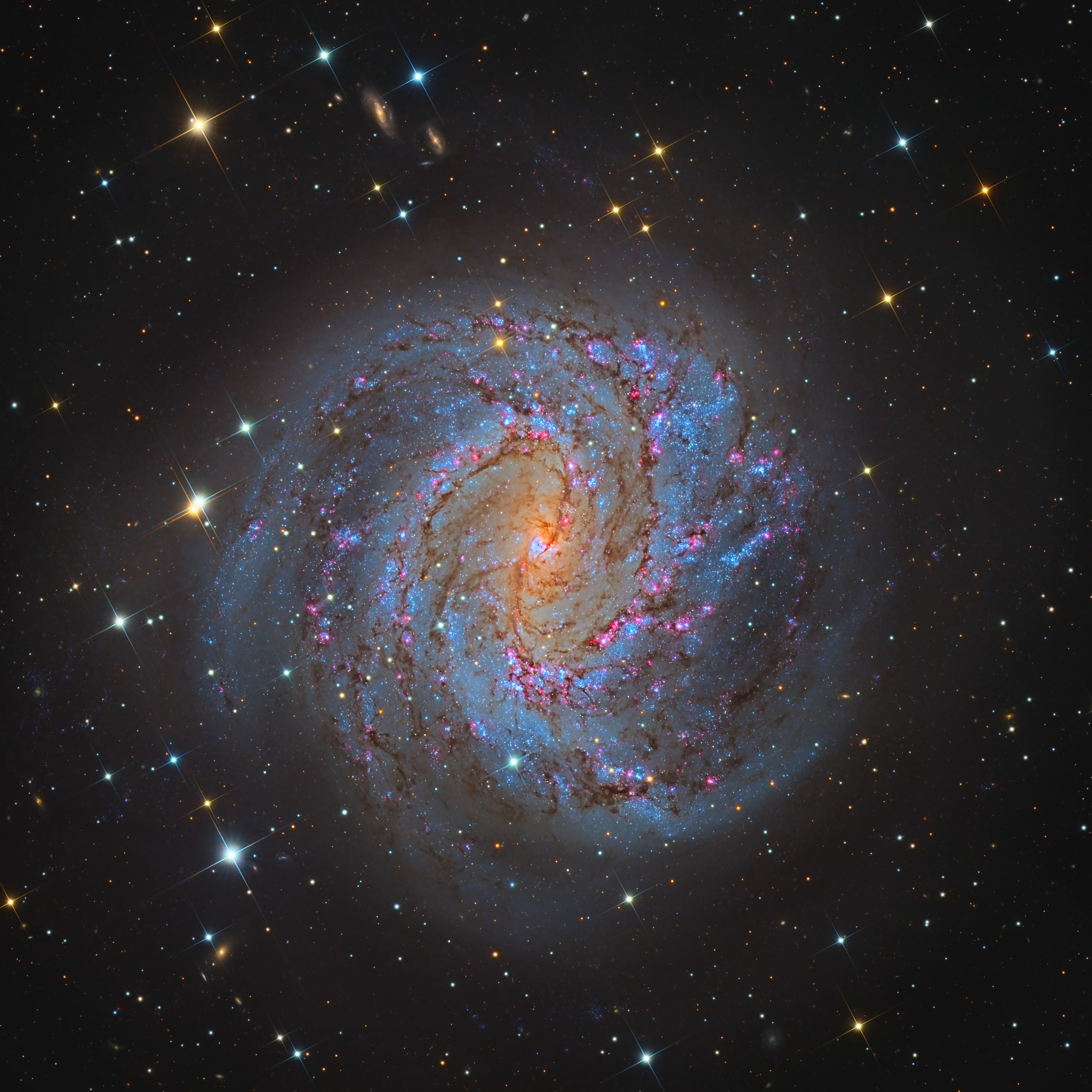 The Southern Pinwheel Galaxy